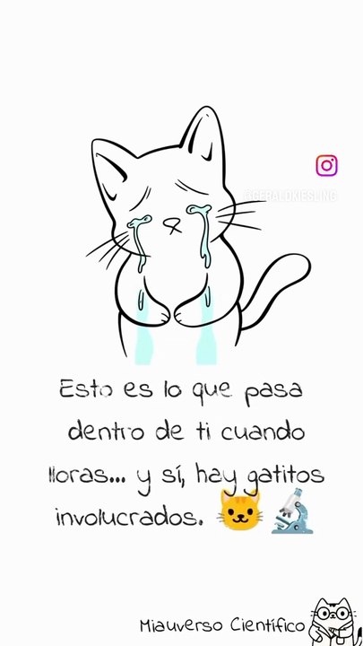Cuando tú lloras 🙀