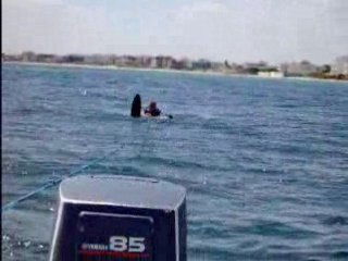 Ski Nautique III: encore réussite