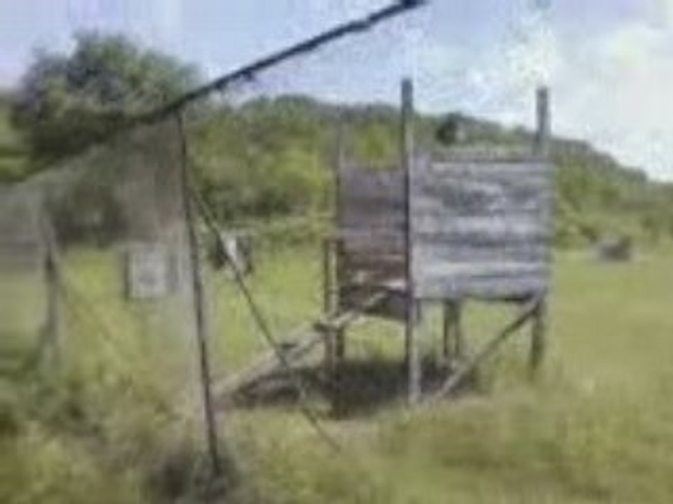 senoyna paintball 3