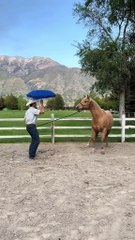 The synchronized jump scare.