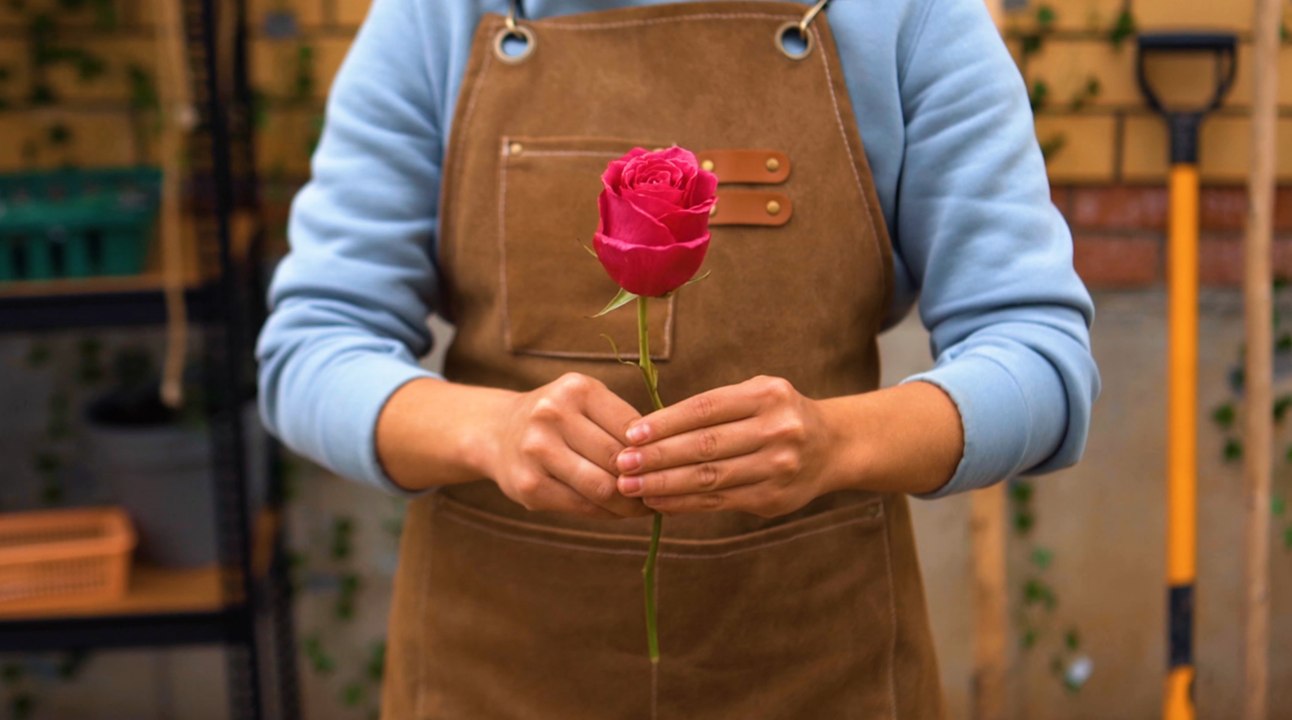 Blooming Brilliant : Conseils de jardinage pour chaque saison !