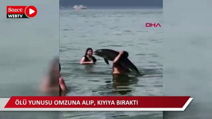 Bursa'da ilginç görüntü: Yüzerken karşılaştığı ölü yunusu kıyıya taşıdı
