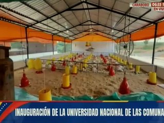 Pdte. Nicolás Maduro: La revolución educativa y cultural para una nueva sociedad