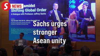 Prof Sachs: ASEAN needs to strengthen within, partnerships with other economic blocs