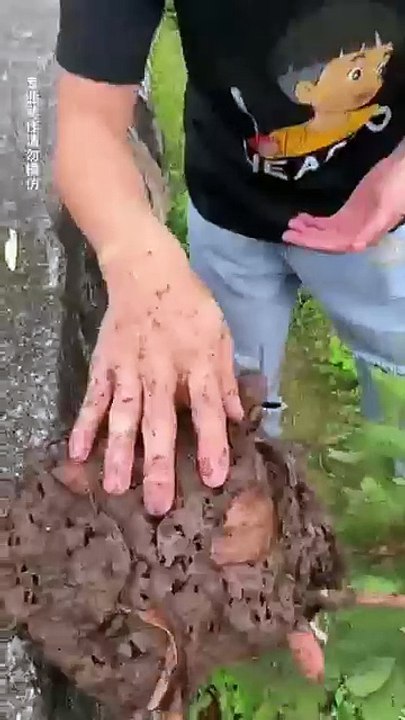 1000091492