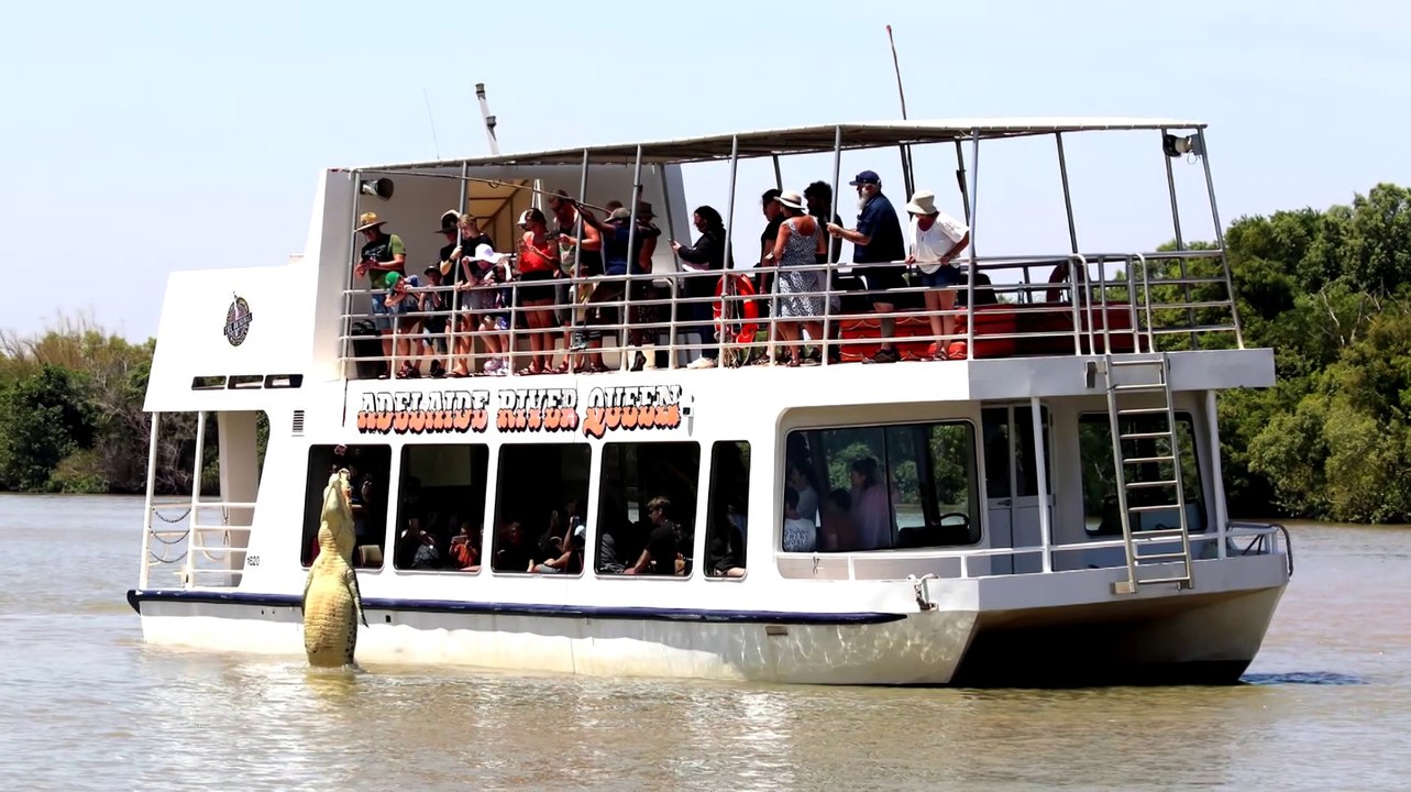 Adelaide River Queen Jumping Crocodiles Cruise