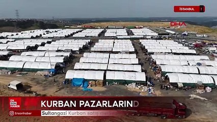 İstanbul Sultangazi Kurban satış merkezindeki hareketlilik