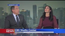 Earthquake Hits During Evening Newscast