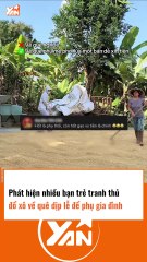 Nhiều bạn trẻ đổ xô về quê ngày lễ Tết để phụ gia đình