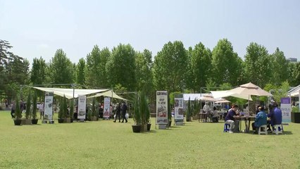 막바지 봄, 서울국제정원박람회 북적...강원 곳곳 소나기 / YTN