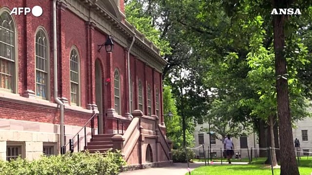Trump contro Harvard, persi 2,4 miliardi di dollari per i tagli ai fondi per la ricerca in Usa