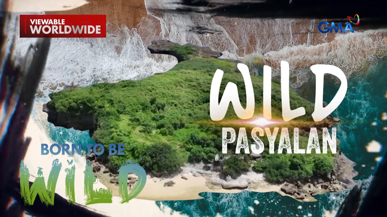 Paano mag-enjoy sa pasyalan na tahanan din ng iba't ibang hayop? | Born to be Wild