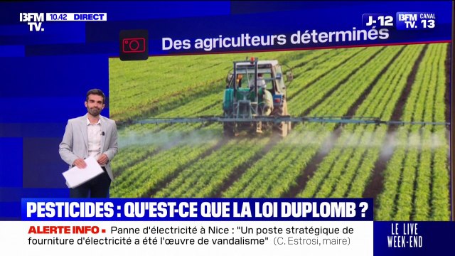 LES ÉCLAIREURS - Stockage de l'eau, pesticides, bâtiments agricoles... Que prévoit la loi Duplomb?