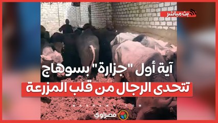 آية أول "جزارة" بسوهاج تتحدى الرجال من قلب المزرعة- ورثت المهنة أبا عن جد