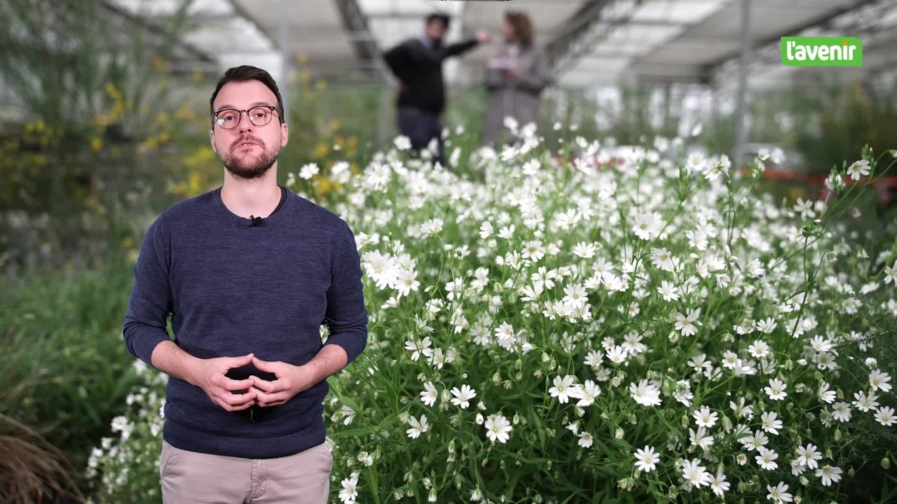 La minute locale du 25 mai 2025 : les façades végétalisées