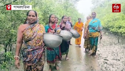 ঘূর্ণিঝড়ের ভ্রুকুটি ! দুর্যোগ মোকাবিলায় সুন্দরবনে নদীর চরে ম্যানগ্রোভ লাগাচ্ছেন মহিলারা