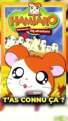 T’as connu Hamtaro ?