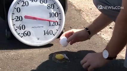 Phoenix heat wave_ Can an egg actually cook on asphalt in 118 degrees_