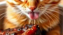 Watch my Ginger Cat Master the Grill