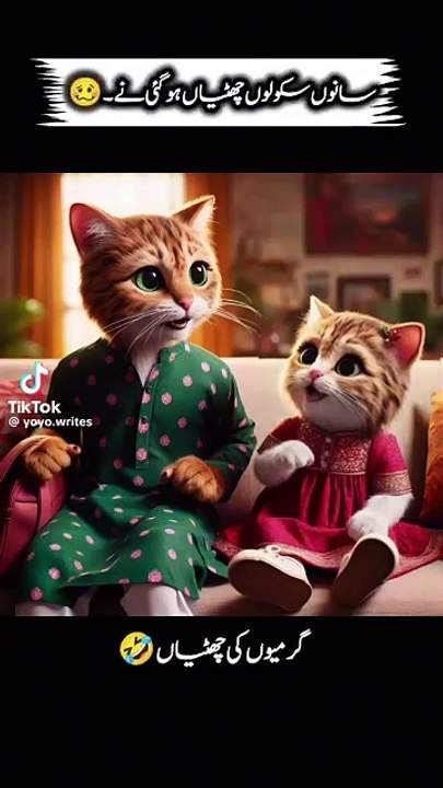 Cat holidays story