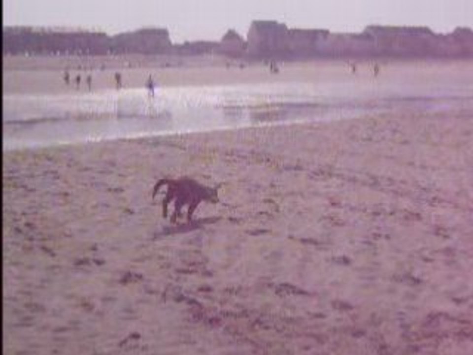 Fancy à la plage