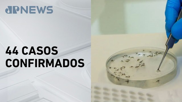SP registra aumento de 450% nos casos de febre oropouche