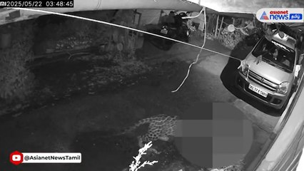 வளர்ப்பு நாய் ஒன்றை சிறுத்தை புலி கடித்து இழுத்து சென்ற சம்பவம் CCTV கேமராவிலும் பதிவாகியுள்ளது