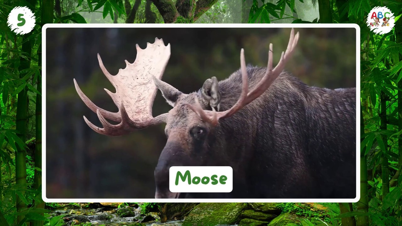 300 Wild Animals for Kids | Learn Animal Names | Types of Animals for Kids | Wild Animals Name