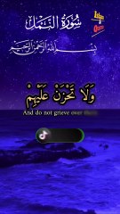 Surah Al Naml,Heart touching voice 😍 Beautiful Quran recitation ❤️ #trending #viralshorts #foryou