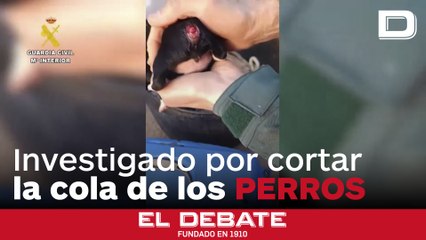 Investigan a un hombre por cortar la cola de tres cachorros de perro en Tortosa (Tarragona)