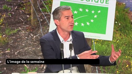 François Ruffin : la primaire à gauche "se fera"