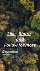 Motivation Isn’t Magic—It’s a Mind Game #MotivationFacts #DailyDrive #StayHungry #SelfDiscipline (1)