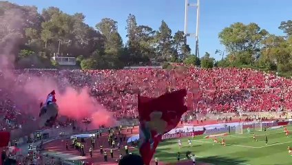 Adeptos Benfica