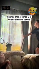 Te traje el ratoncito que querías 🐕🐀 mira 😂