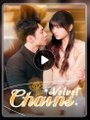 Velvet Chains CN