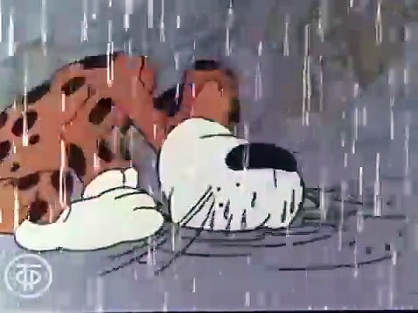 ⁣Дом для леопольда (1979)