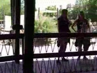 Manège dino karussel 2008 (europa-park)