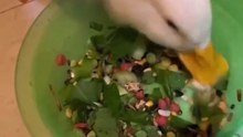 Türdeşleri tarafından kabul görmeyen ve dövülen ördeği alıp ona hak ettiği sevgi dolu yaşamı vermek 🥲