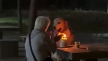 Ona ihanet etmeyecek, onu ömrü boyunca sevecek dostuyla 🥲