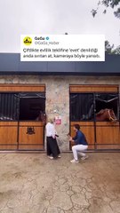 Kamera görünce şımaran çocuklar gibi 😂