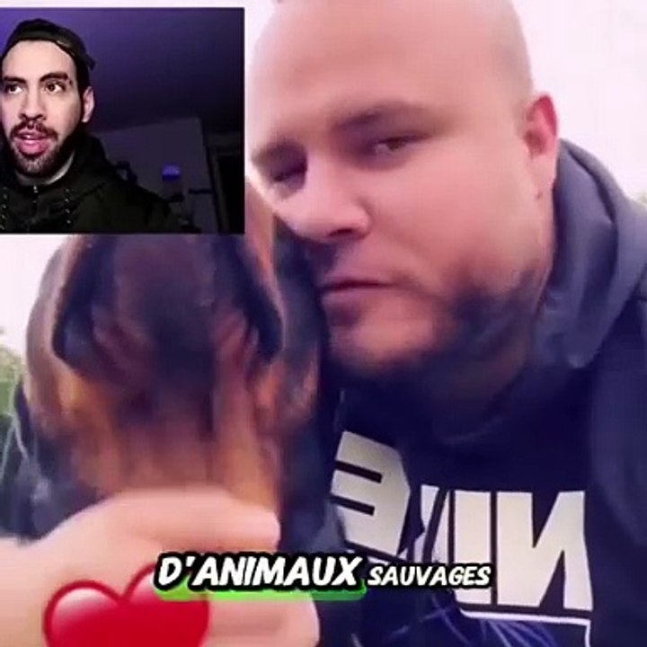 Ce pauvre chevreuil n'a pas survécu 🥺