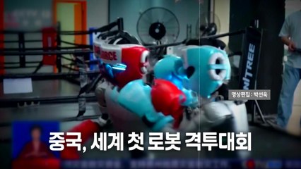 [영상] "로봇이 어퍼컷"...중국, 세계 첫 로봇 격투대회 / YTN