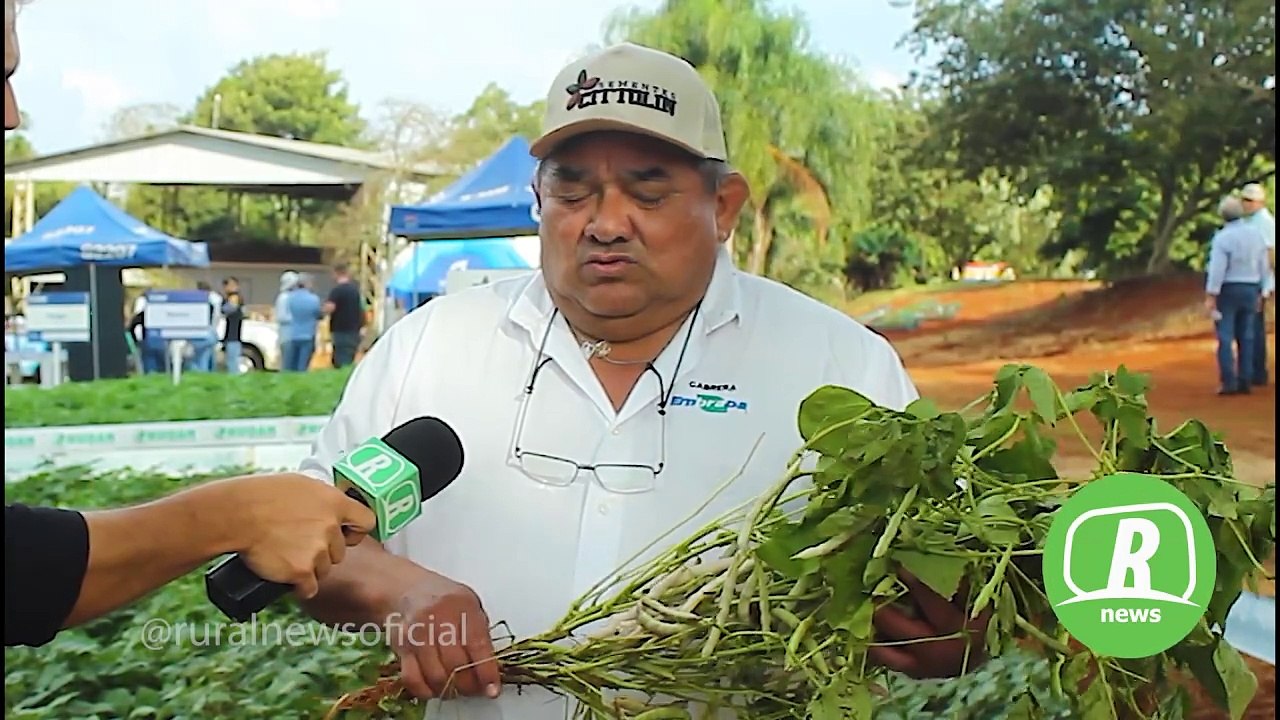 Embrapa mostra nova variedade de feijão no Dia de Campo Cittolin/Univel