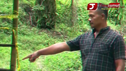 Lagi Lihat Kebun Kelapa Sawit, Jaksa Pidum Dibacok