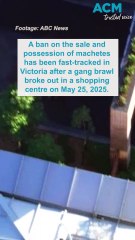 Victoria’s machete ban fast-tracked after shopping centre gang brawl