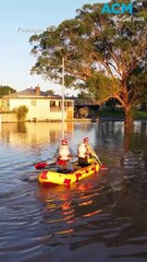 Extraordinary rescue of couple and six dogs as NSW flood clean-up begins