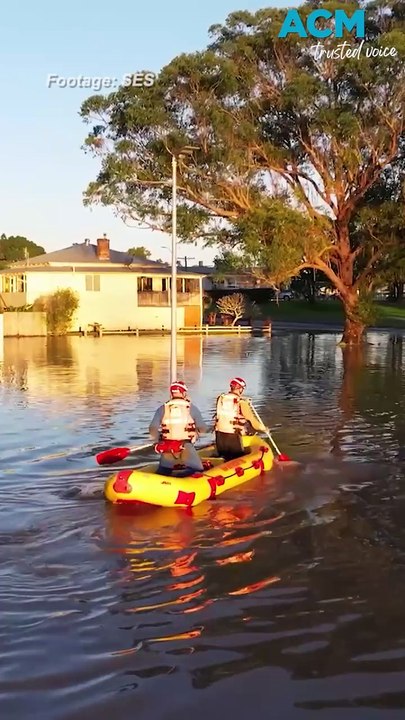 Extraordinary rescue of couple and six dogs as NSW flood clean-up begins