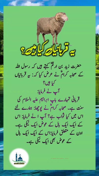 Untitled 42_720p_66qurbani khosh Dili se karo|q...