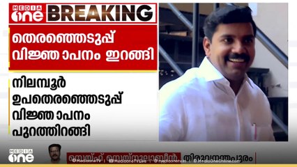 അൻവറിന് മുന്നിൽ തോറ്റുകൊടുക്കാതിരിക്കാൻ സകല അടവും പയറ്റാൻ സിപിഎം