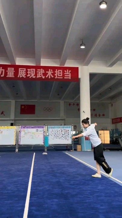 kungfu  girl
